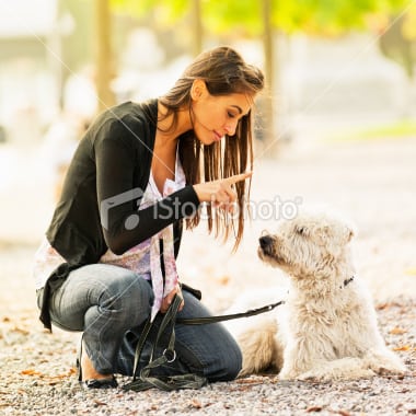 Pet Behavorial Counseling