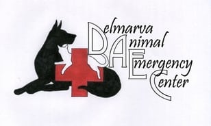 Delmarva Animal Emergency Center