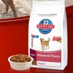 Hills Science Diet Pet Food