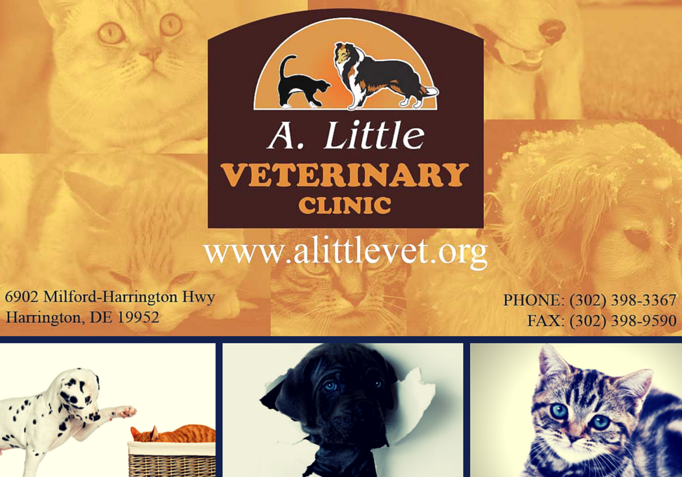 A. Little Veterinary Clinic, Harrington, Delaware
