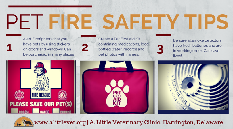 Pet Fire Safety