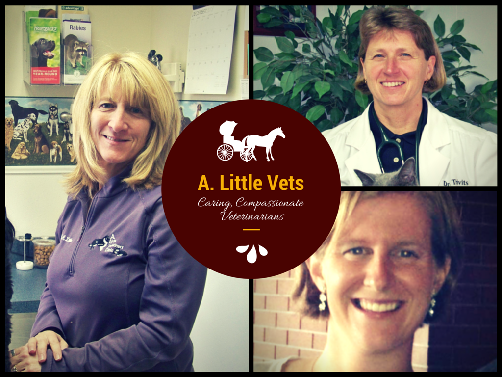 A. Little Veterinary Clinic, Meet the Veterinarians