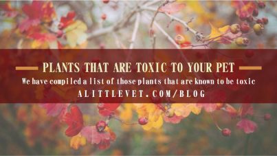 toxicplants