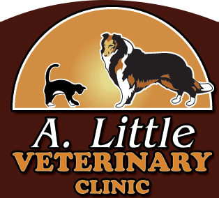 A. Little Veterinary Clinic