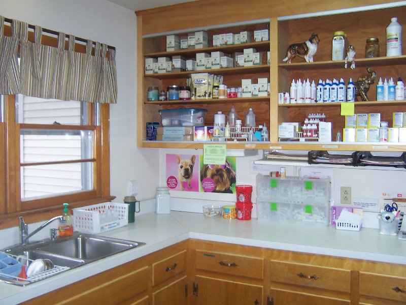 Lab Area and Medication Shelves